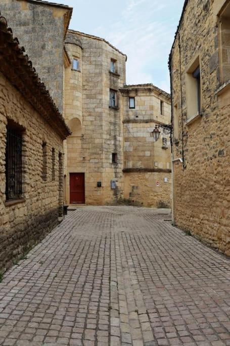Entre Uzes Et Le Pont-Du-Gard Le Logis D'Autrefois Apartment Castillon-du-Gard Exterior photo